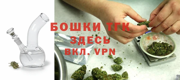 индика Белоозёрский