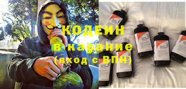 индика Белоозёрский