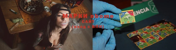 индика Белоозёрский
