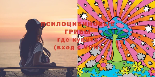 индика Белоозёрский