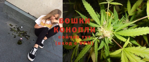 индика Белоозёрский