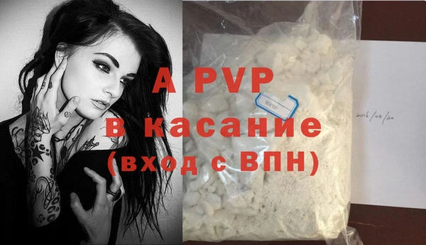 индика Белоозёрский