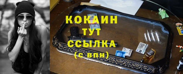 индика Белоозёрский
